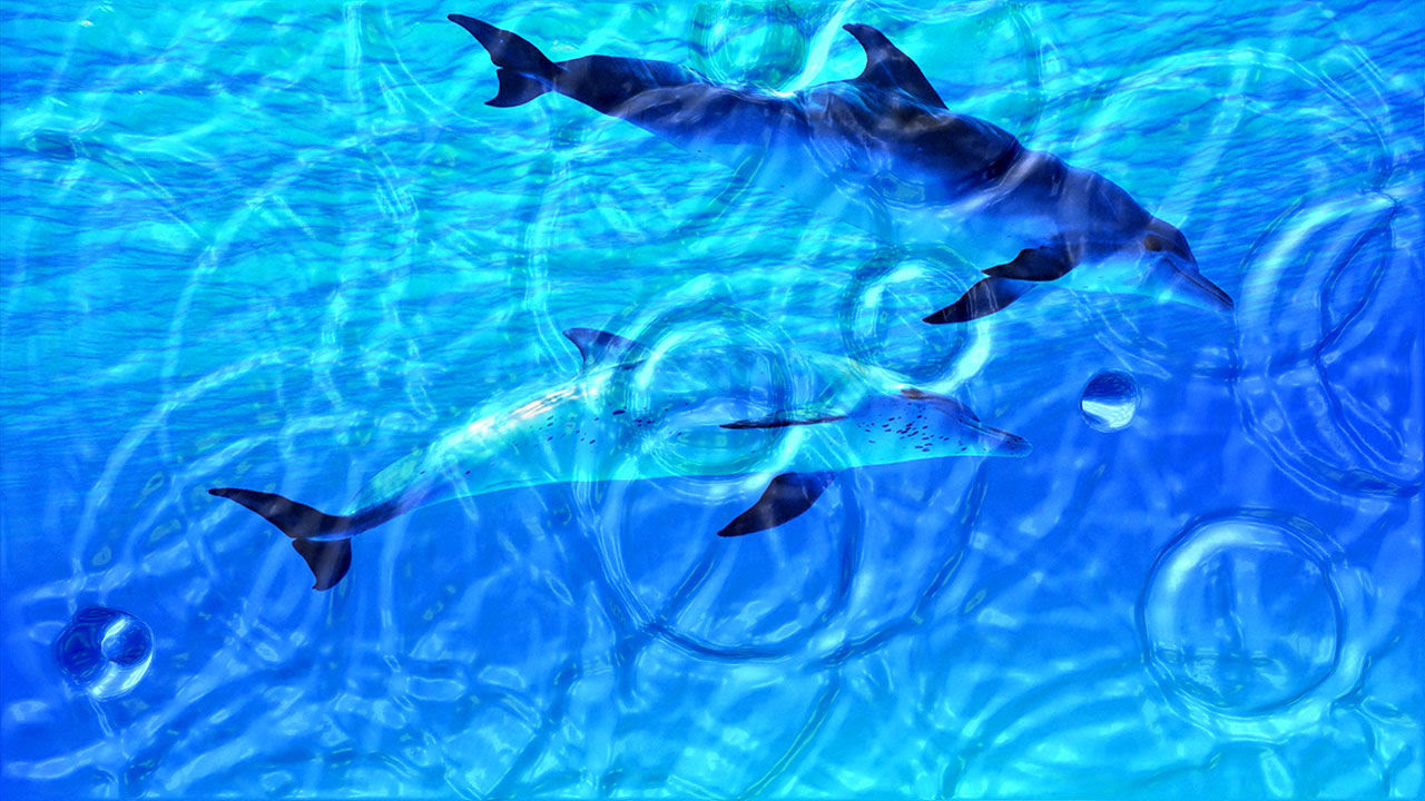 wallpapers for desktop vista. Animated Wallpaper: Watery