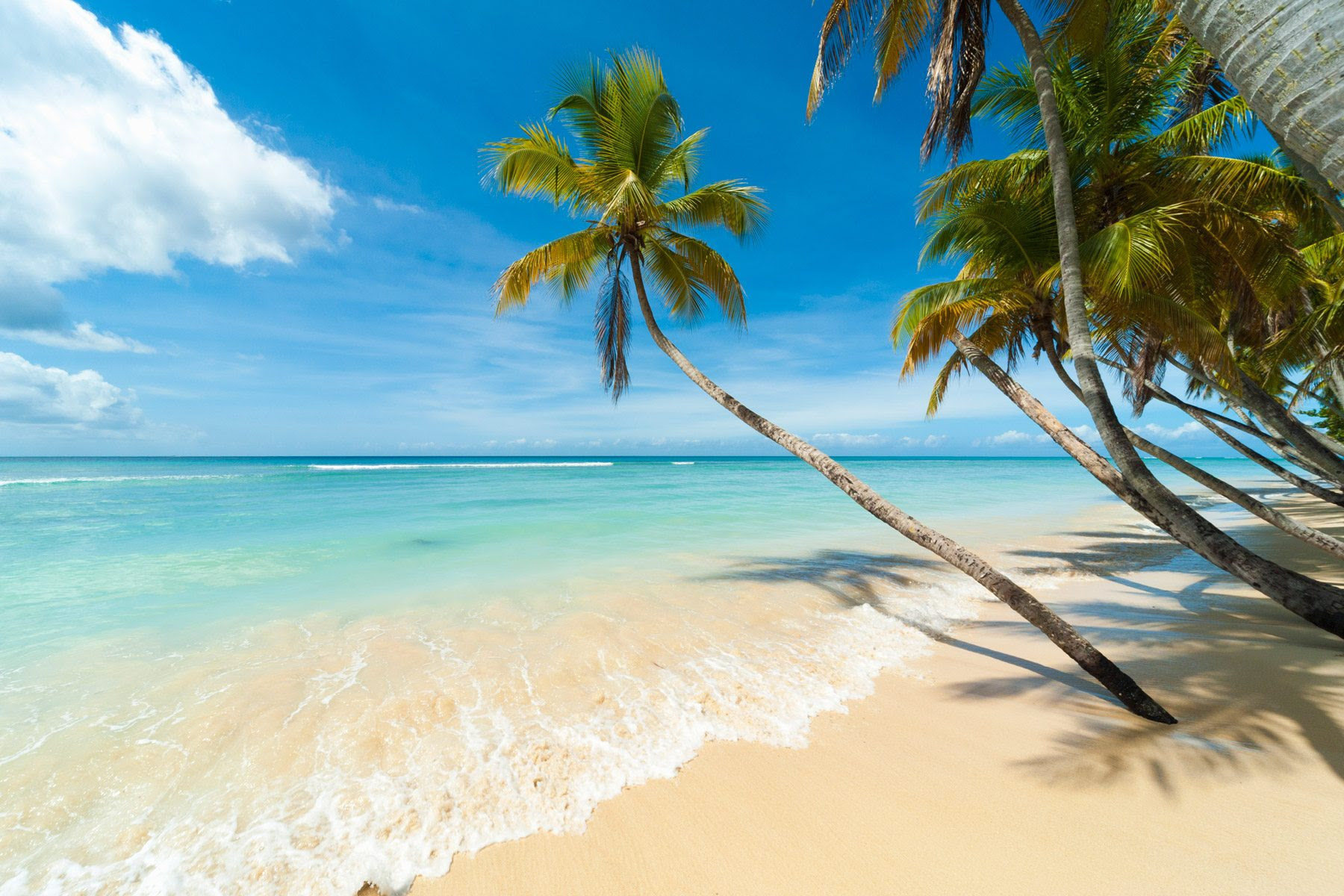 Pemandangan Pantai Cantik Dengan Tema Pokok Kelapa Azhan co Pemandangan Pantai Cantik Dengan Tema Pokok Kelapa Azhan co