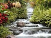 Self Hypnosis Tapes For Weight Loss