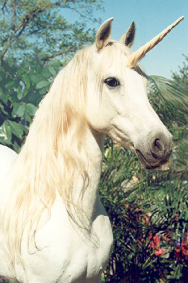 Fashion Model, Style inspiration, Fashion photography, Long hair
