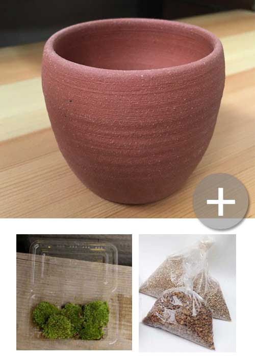 盆栽の植え替え 盆栽の作りかた