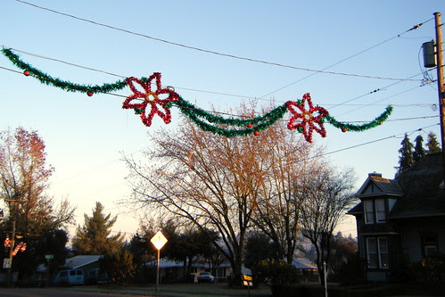 Dayton Holiday Decor