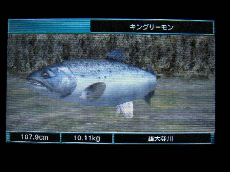 絶対simple主義 グラフィックだけはいい 3ds フィッシュアイズ３ｄ レビュー