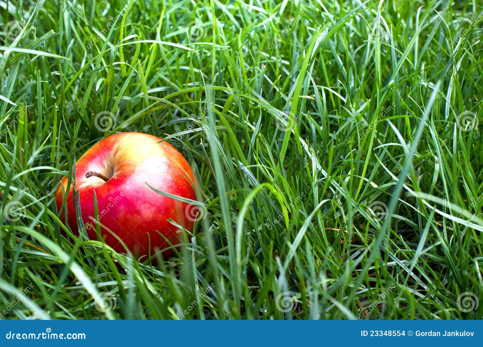 will apple stock drop tomorrow - Schwab Intelligent Portfolios Solutions invests in Schwab ETFs