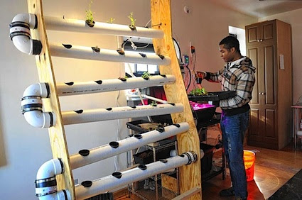 Long Island City lab on cutting edge of urban farming with ...