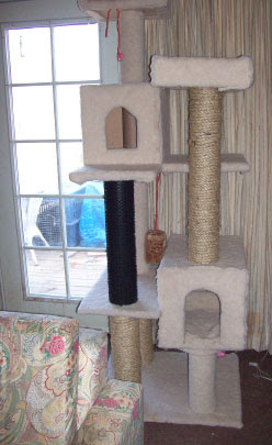 21 Free Cat Furniture Plans Free Plans For Cat Trees Condos Scratching Posts And More The Tool Crib