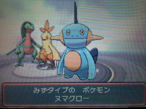 やまぴーのまったり生活 ゲームプレイ日記 ポケットモンスター オメガルビー アルファサファイア 体験版
