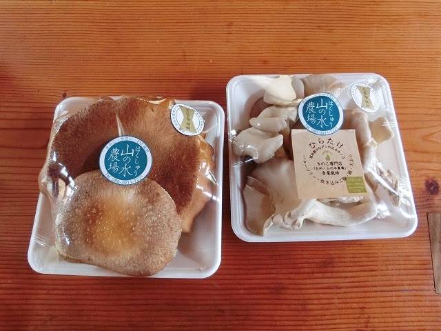 ひらたけ 味噌汁のマリアージュ はりねずみが眠るとき