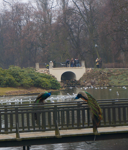 Warsaw etc.-10.jpg