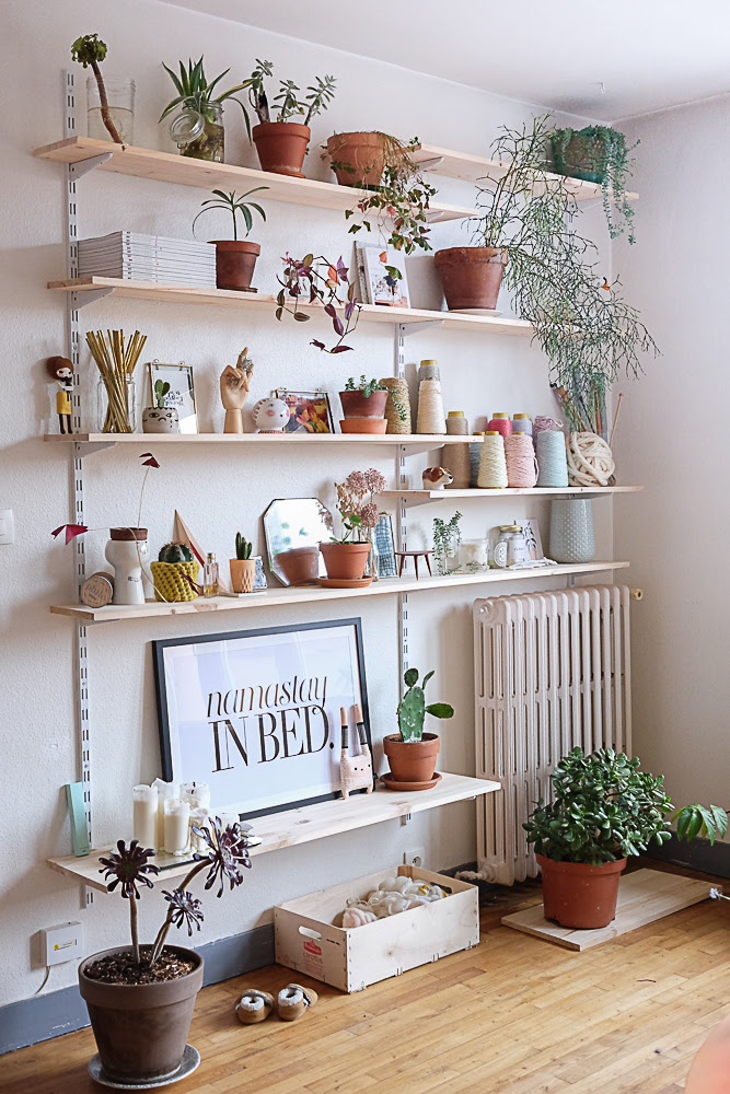 Living Room Wall Shelves design With mall plants