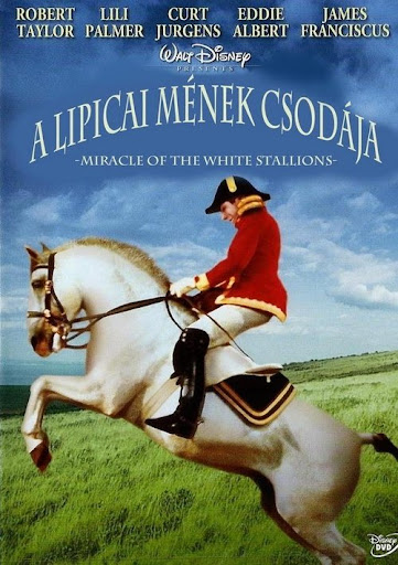 Kép