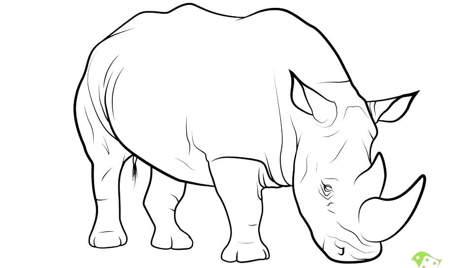 Rhinoceros Coloring Pages at GetDrawings | Free download