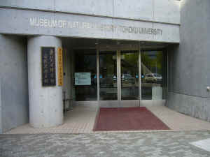 東北大学理学部 自然史標本館