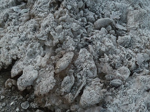 molten refrozen snow