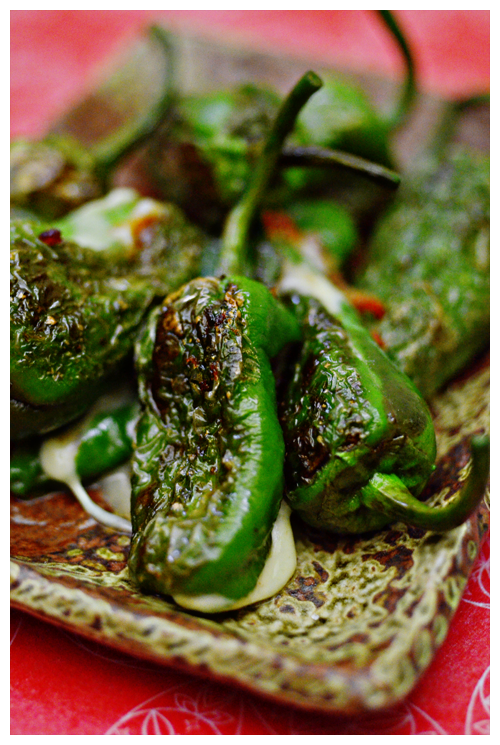 Cheese Stuffed Padron Peppers© by Haalo