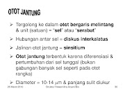 Penting Jaringan Otot, Paling Heboh!