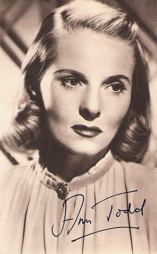 Ann Todd