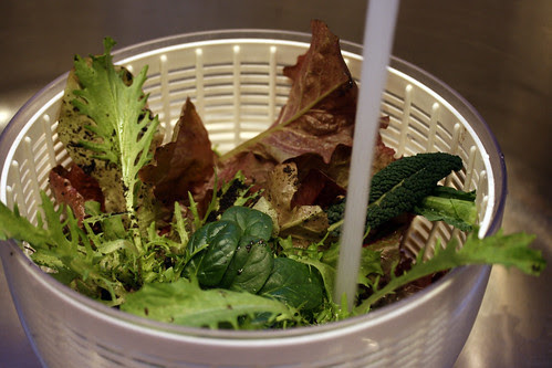 Christmas Day lettuce harvest