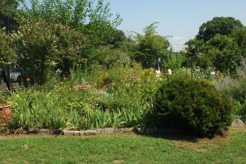 Campus Road Garden, South Midwood, Flatbush, Brooklyn