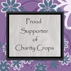 charity_support_button 1