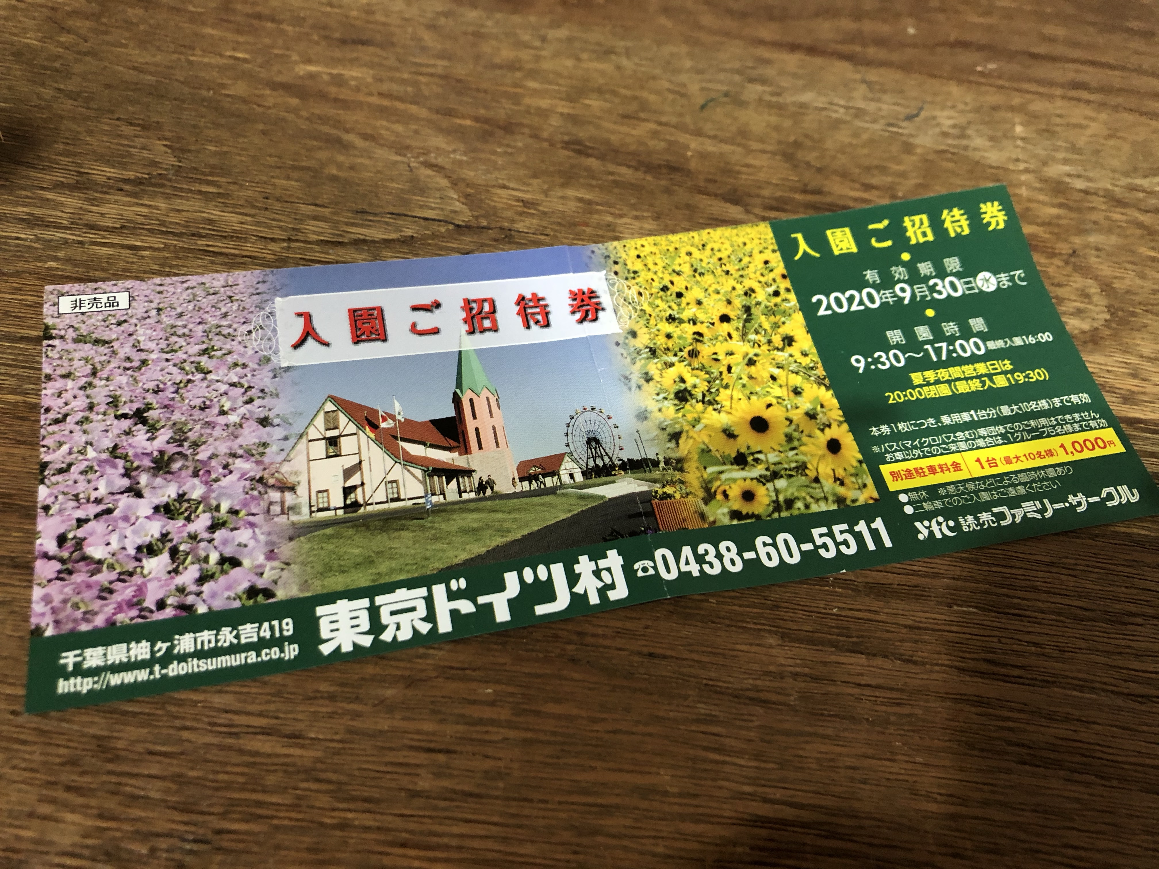 東京ドイツ村にはクーポンを利用してお得に行こう 明日もハレルヤ