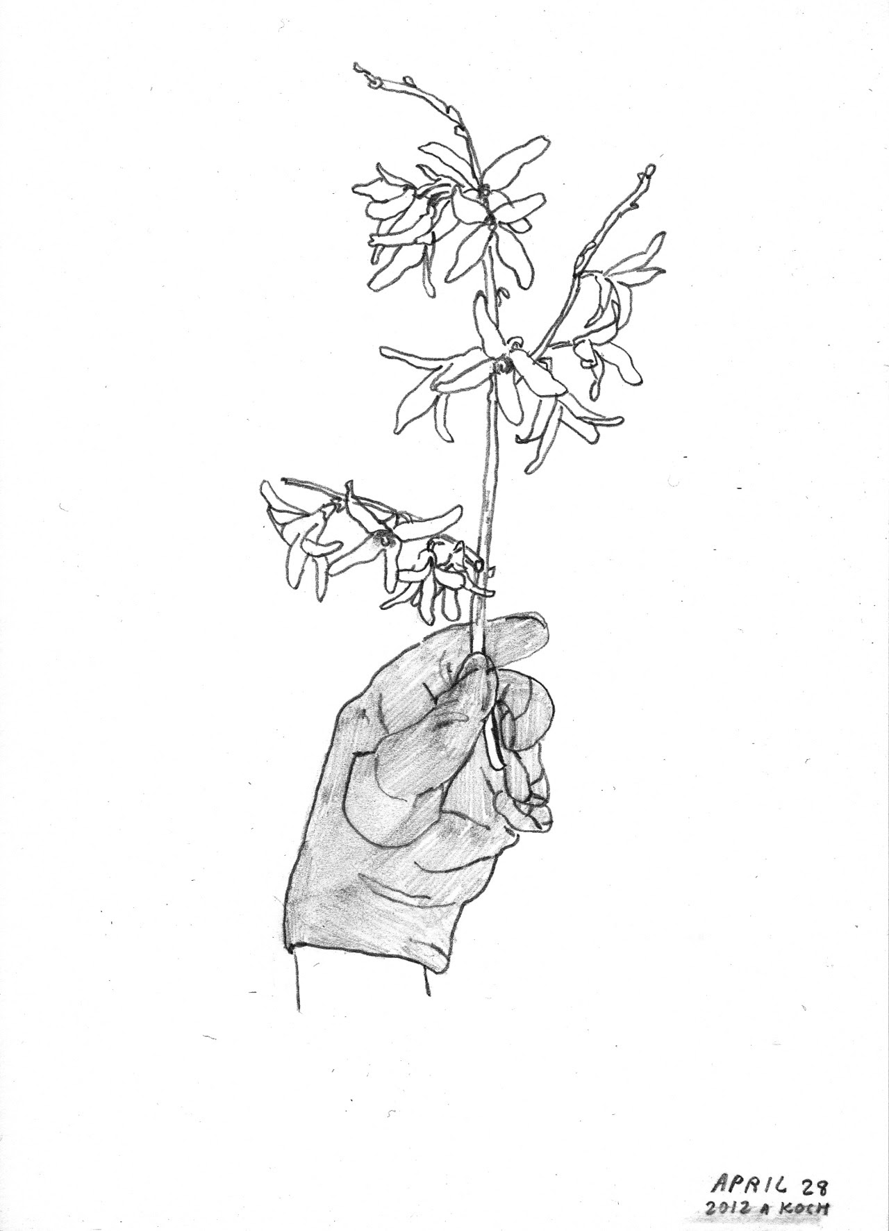 http://24.media.tumblr.com/tumblr_m3a749U1w71ro16zco1_r1_1280.jpg