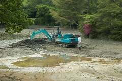 Ryoanji