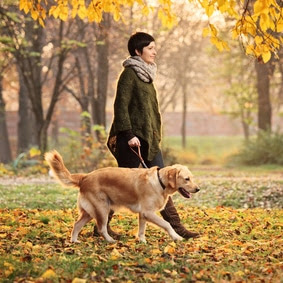 Walk and Park Etiquette