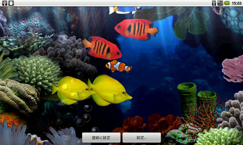 マリンアクアなぁ壁紙 昔の珊瑚礁と今