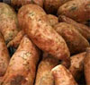 sweet potatoes