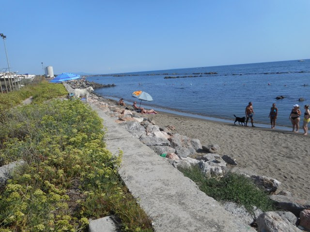Spiaggia Per Cani Si