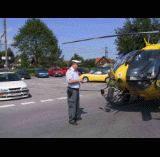 gif del blog