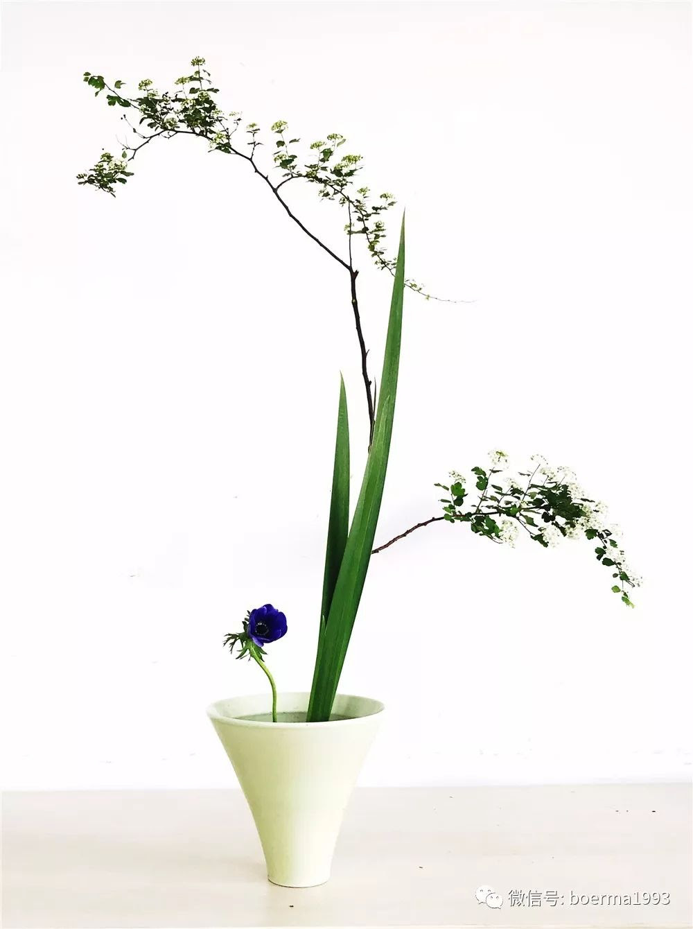 荷兰布尔玛花艺学院