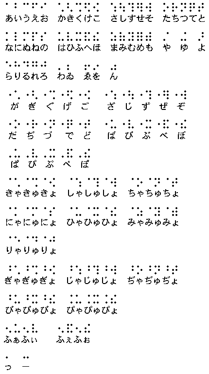 点字 ポケモン君に決めた