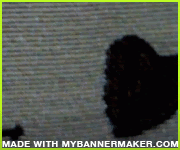 Create your own banner at mybannermaker.com!