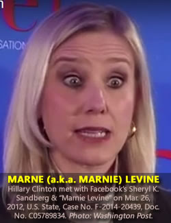Marne (aka Marnie) Levine. (Dec. 6, 2012). Facebook VP of Global Public Policy. Washington Post Live.
