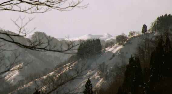 白山スーパー林道 ブナオ山観察舎