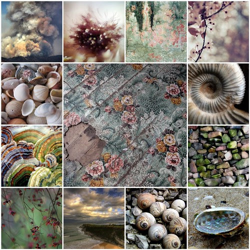 Pastel , the art from my Flickr friends by Catharinas-Love