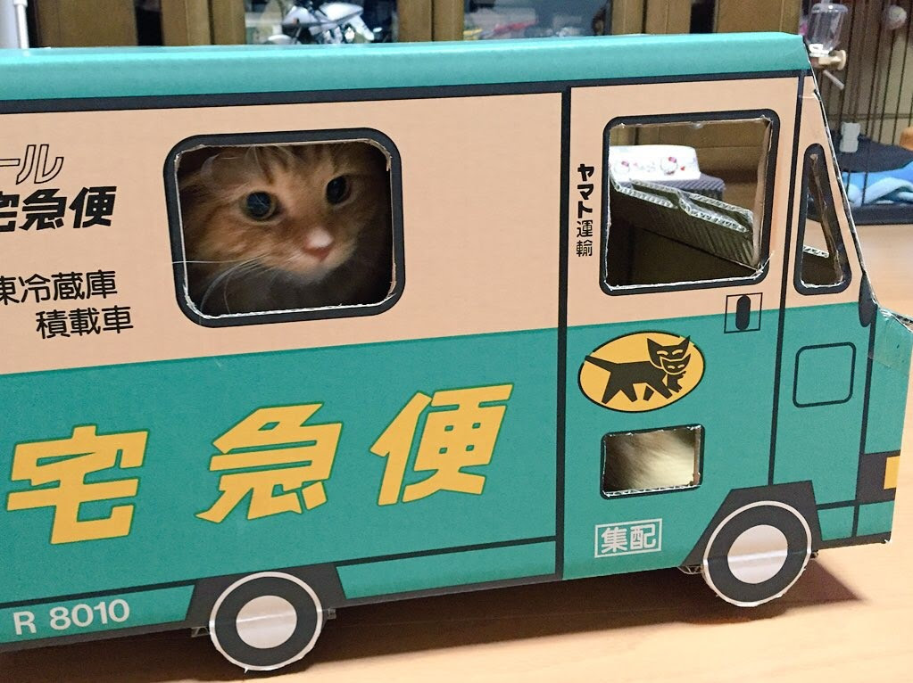 18年2月 埼玉の動物病院 埼玉動物医療センター