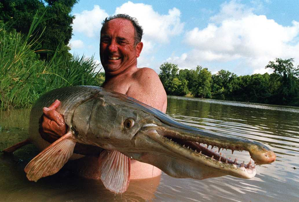 tiger fish congo. it#39;s called a Congo fish.