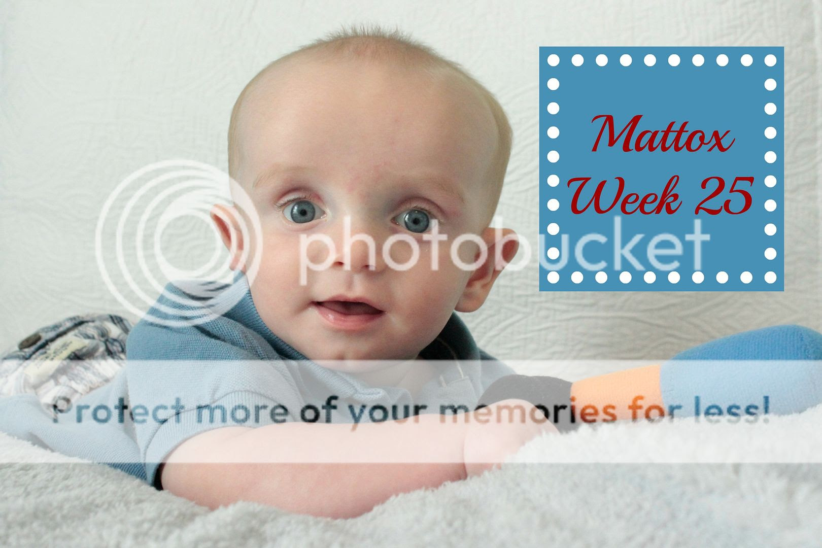 photo Week25_zps264vrudi.jpg