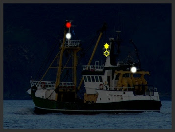 Fishing In Proximity Purse Seining