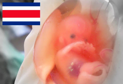 Imagen feto suparna sinha (CC BY-SA 2.0)