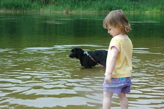 Dog and children