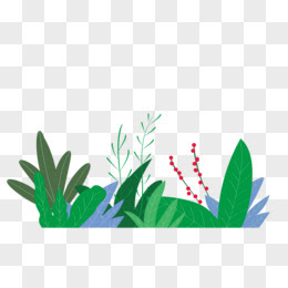 植物图案图片素材 免费植物图案png设计图片大全 图精灵