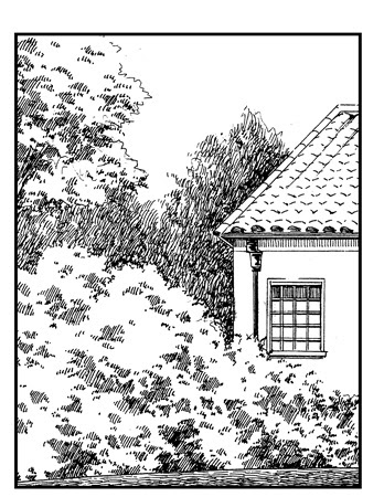 日曜日の授業 植物を描く 桜庭あさみ ｈｏｍｅ ｐａｇｅ