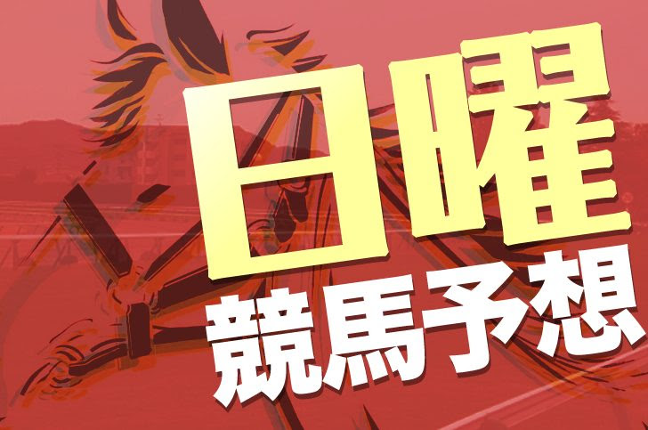 【エルムステークス2021予想】本命ソリストサンダー | ゆうちゃ ...