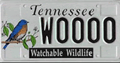 Tennessee state hunting license
