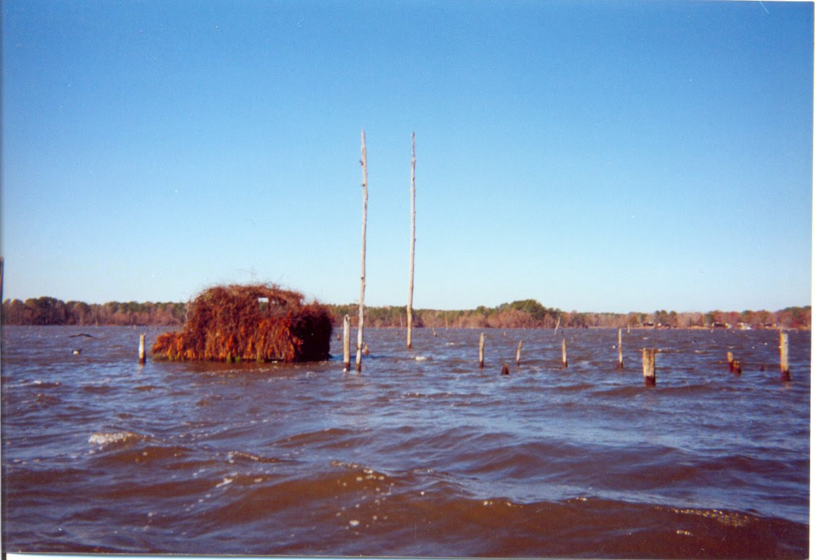 http://www.bayouducks.com/photos/Img00015.JPG
