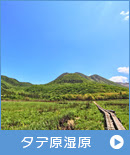 くじゅうやまなみキャンプ村公式サイト